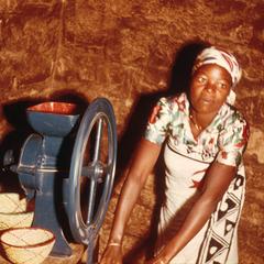 Woman Grinding Corn by Electric Machine