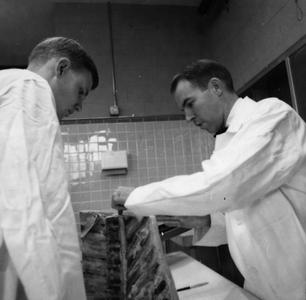 Men examining lab equipment