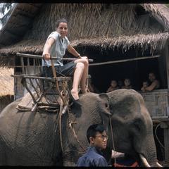 Pak Tha trip- Xayabury elephant