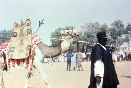 Tuareg Man and Camel at Big Sallah Celebration