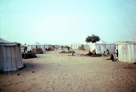 A Refugee Camp Provisioned by the Red Cross Outside Zinder