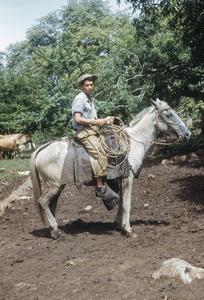 Cowboy on horse, Hacienda Sta. Marta.