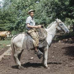 Cowboy on horse, Hacienda Sta. Marta.