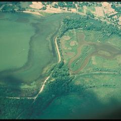 Aerial view of Gardner Marsh and Lake Wingra, University of Wisconsin Arboretum