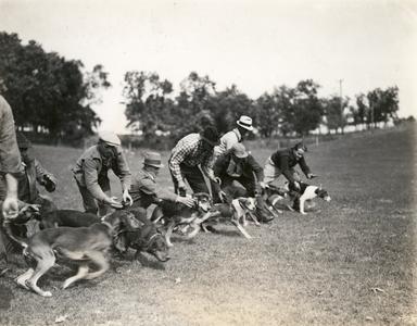 Coon hound trials