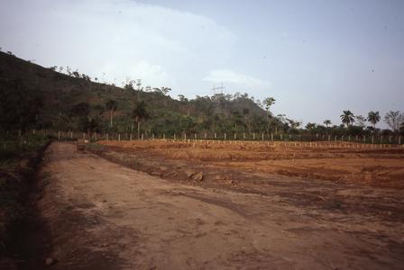 Imo-Ilesa land clearing