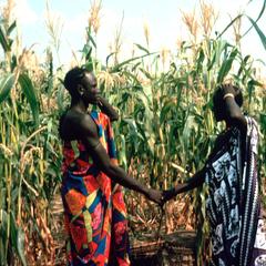Friends Posing Together in a Sorghum Field