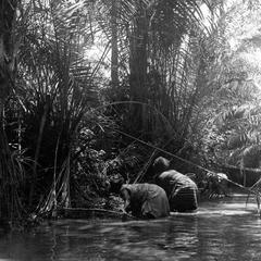 Women Fishing with Nets in River