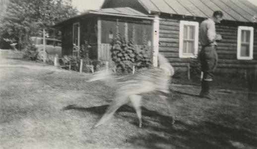 Powell and leaping fawn at Boulder Lodge