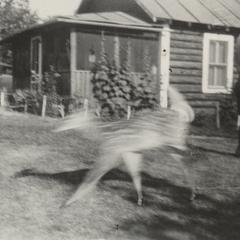 Powell and leaping fawn at Boulder Lodge