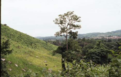 Hills of Erin-Ijesha
