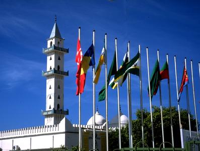 Mosque and Flags on the Sharia al-Fatah
