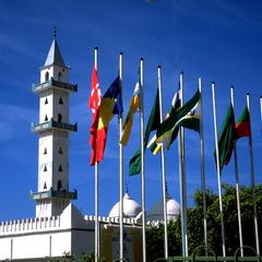 Mosque and Flags on the Sharia al-Fatah