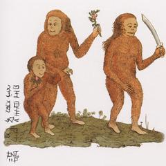 Orangutan Family Print