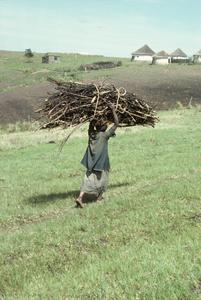 Southern Africa : Agricultural Activities : carrying wood