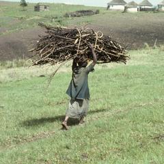 Southern Africa : Agricultural Activities : carrying wood