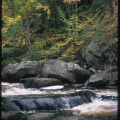 View of stream with northern forest, Hanson Property