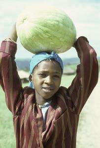 People of South Africa : woman with melon