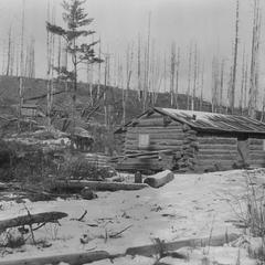 Log Cabin in Woods