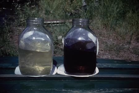 Color of bog water compared