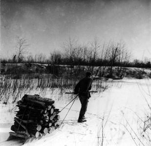 Aldo Leopold pulling sled with firewood