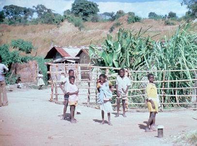 Privatized Sugar Cane Plot at Gonduve Village