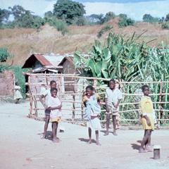Privatized Sugar Cane Plot at Gonduve Village