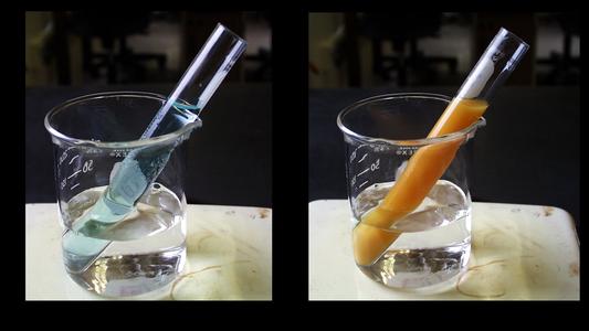Negative and positive Benedict's test for simple sugars