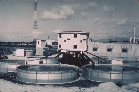 Tuna behavior tank facility