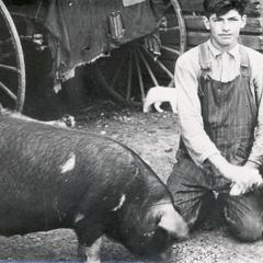 Boy with pig and dog