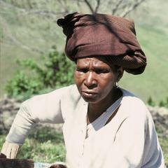 Nongenile Masithathu Zenani, performing