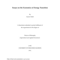 Essays on the Economics of Energy Transition