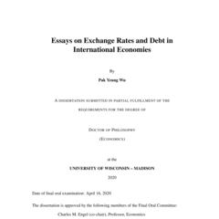 Essays on Exchange Rates and Debt in International Economies