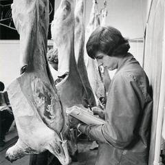 Student with cow carcasses