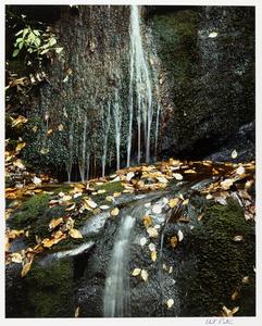 Running Water, Roaring Fork, Great Smoky Mountains, 10 Oct. 1967, from the portfolio Color Nature Landscapes II