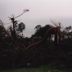 Mauston tornado