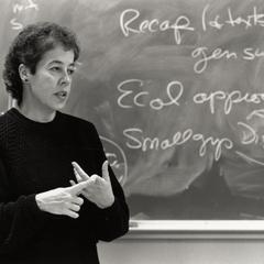 Rosemarie Carbino, social work