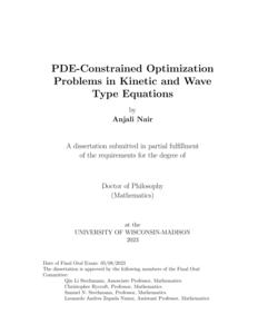 PDE-Constrained Optimization Problems in Kinetic and Wave Type Equations