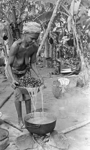 Pouring Water Off the Palm Nuts Before Pounding for Making Oil