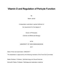 Vitamin D and Regulation of Pericyte Function