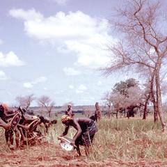 Farmers Cultivating a Field