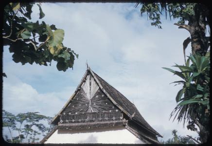 Nam Tha : roof of vat