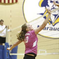 Play for Pink, University of Wisconsin--Marshfield/Wood County, 2013
