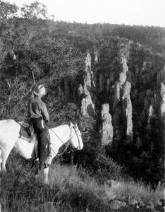 Horseback rider viewing canyon