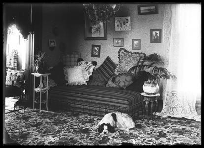 Victorian interior with a dog