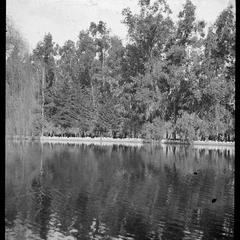 Lake at Baldwin's ranch