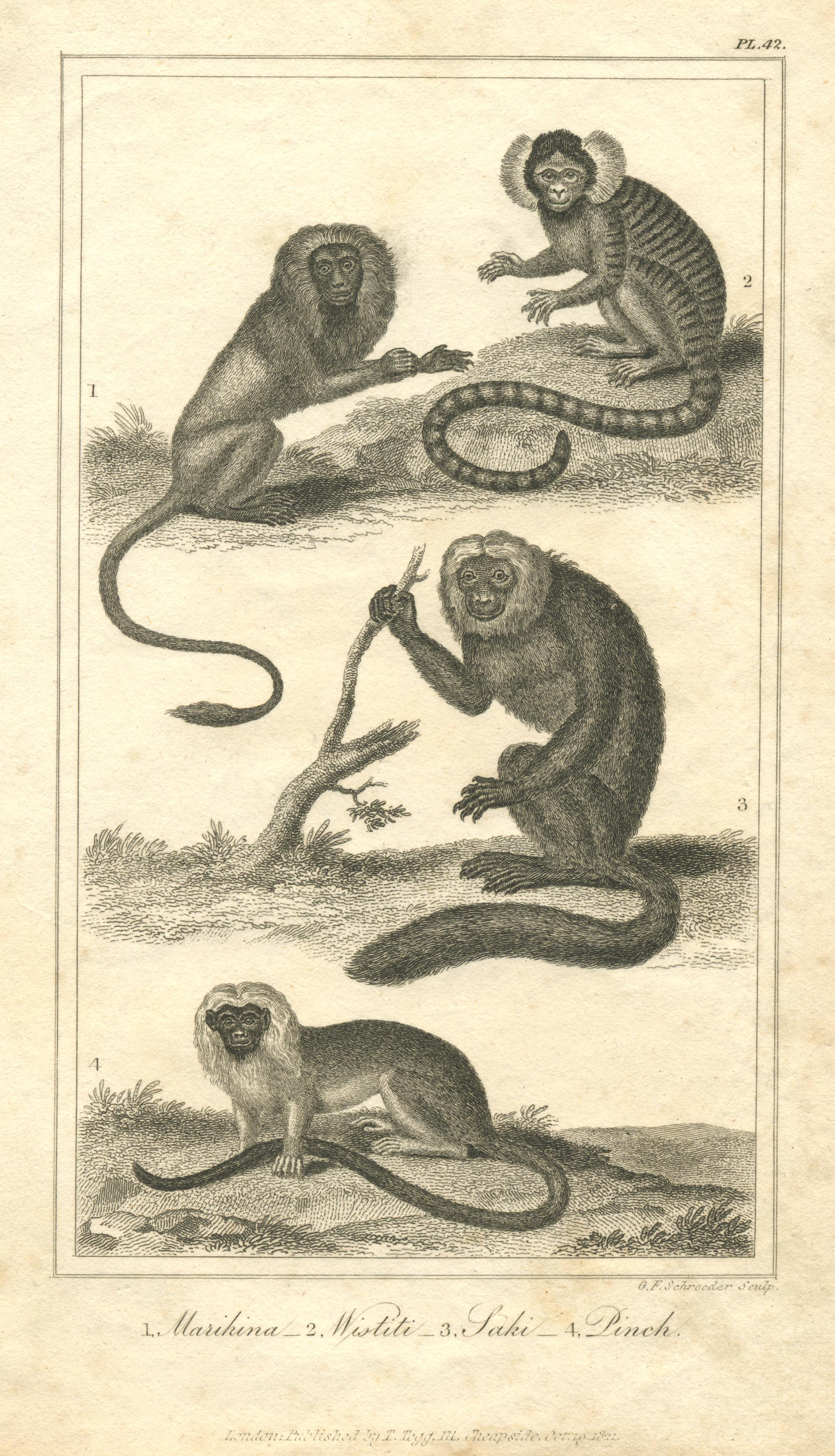 May'n ライブパンフレット8冊 New World Monkey Group Print - UWDC - UW-Madison Libraries