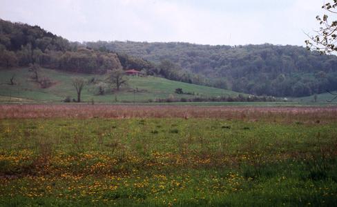 View of hills and fields